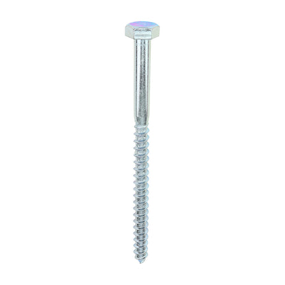 TIMCO Coach Screws Hex Head Silver  - 10.0 x 150 - Image