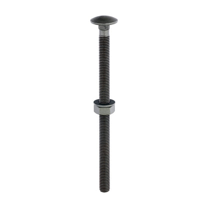TIMCO Carriage Bolts DIN603 Hex Nuts & Form A Washers Green Exterior - M10 x 160 - Image