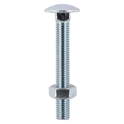 TIMCO Carriage Bolts DIN603 & Hex Full Nuts DIN934 Silver - M10 x 260 - Image