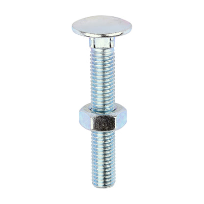 TIMCO Carriage Bolts DIN603 & Hex Full Nuts DIN934 Silver - M10 x 65 - Image