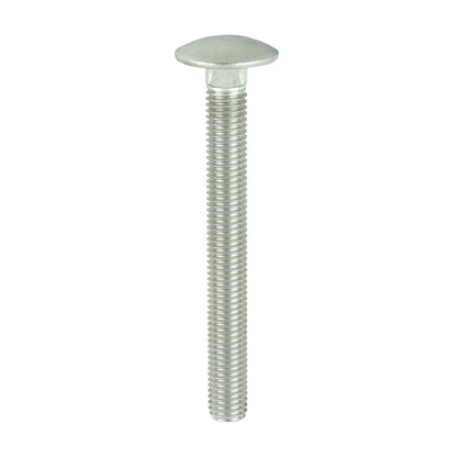 TIMCO Carriage Bolts DIN603 A2 Stainless Steel - M12 x 110 - Image