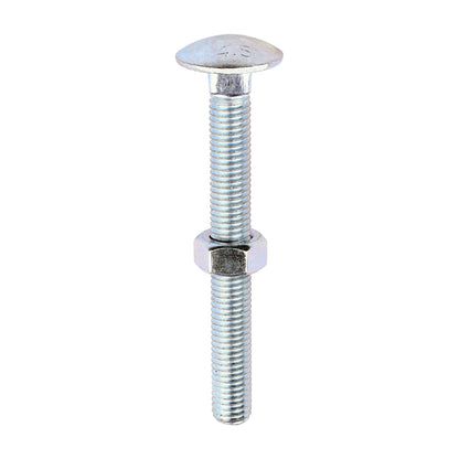 TIMCO Carriage Bolts DIN603 & Hex Full Nuts DIN934 Silver - M12 x 110 - Image