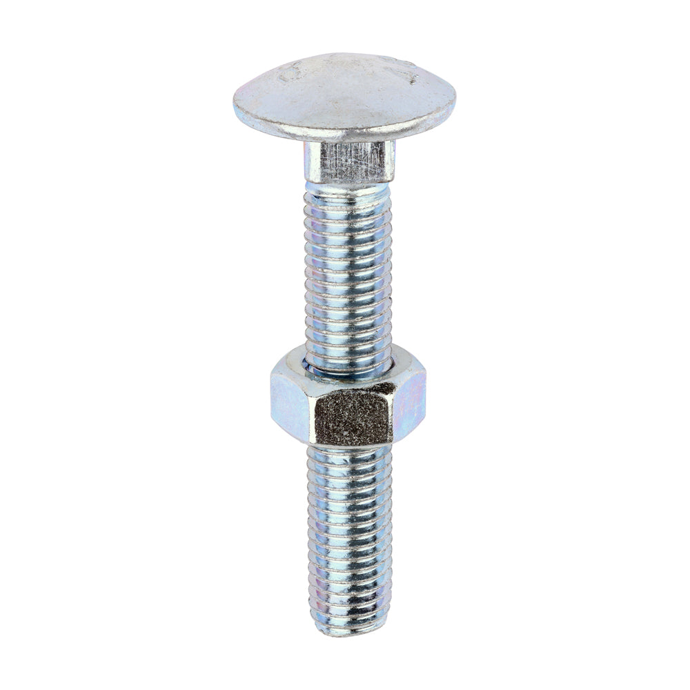 TIMCO Carriage Bolts DIN603 & Hex Full Nuts DIN934 Silver - M12 x 75 - Image