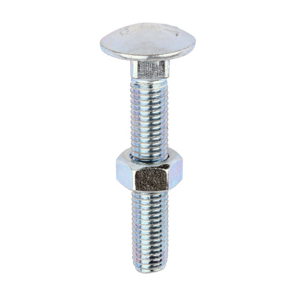 TIMCO Carriage Bolts DIN603 & Hex Full Nuts DIN934 Silver - M12 x 75 - Image
