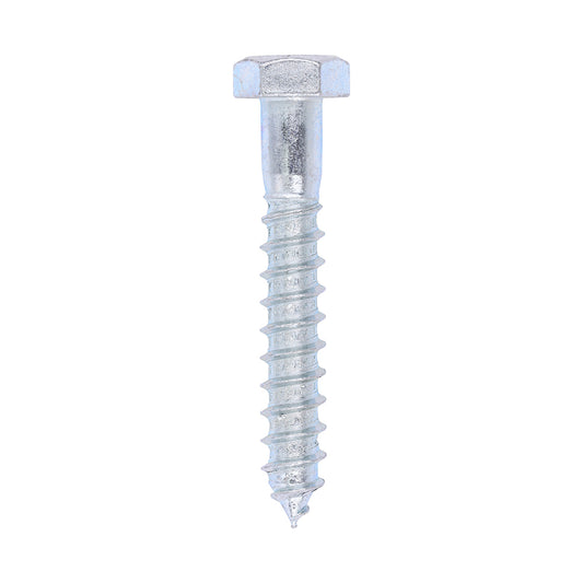 TIMCO Coach Screws Hex Head Silver  - 12.0 x 80 - Image