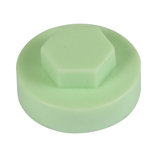 TIMCO Hex Head Cover Caps Eau de Nil - 16mm - Image