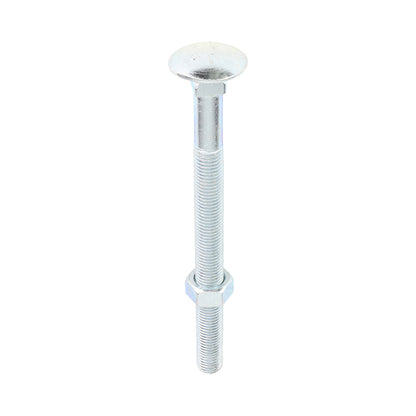 TIMCO Carriage Bolts DIN603 & Hex Full Nuts DIN934 Silver - M16 x 200 - Image