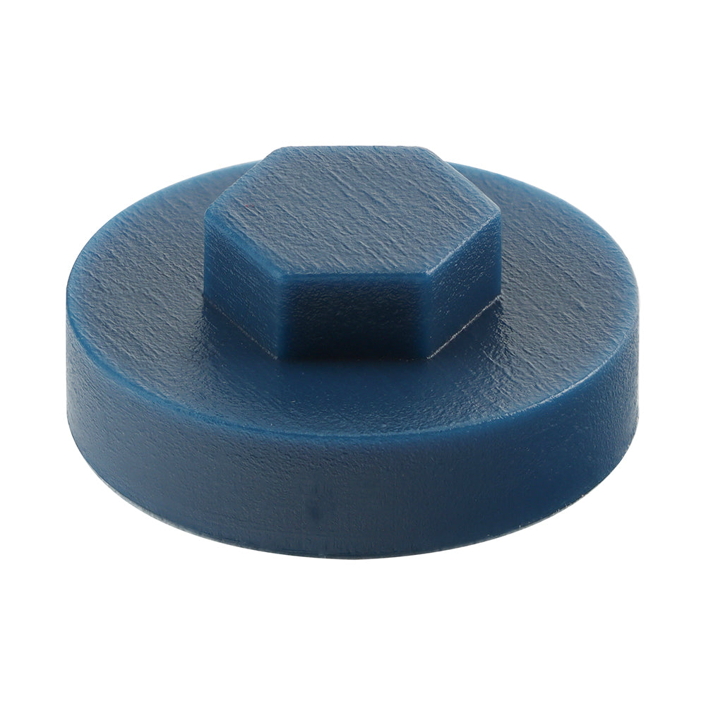 TIMCO Hex Head Cover Caps Britannia - 19mm - Image