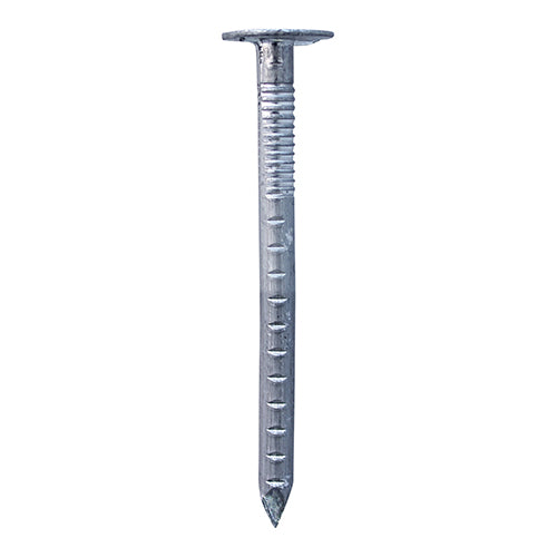 TIMCO Clout Nails Aluminium - 65 x 3.35 - Image