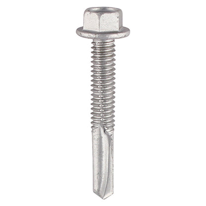 TIMCO Self-Drilling Heavy Section A2 Stainless Steel Bi-Metal Screws - 5.5 x 55 - Image