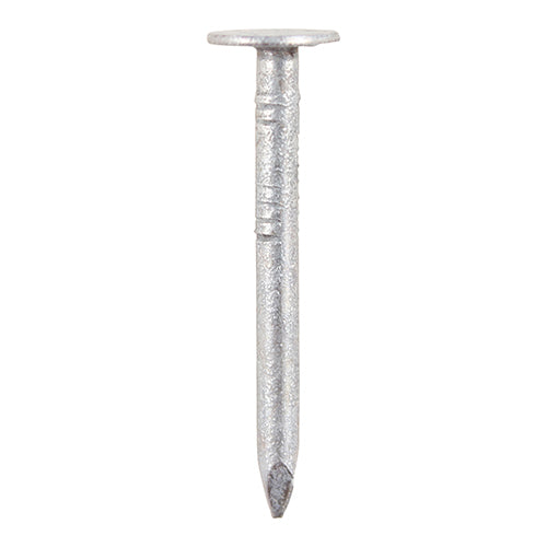 TIMCO Clout Nails Galvanised - 25 x 2.65 - Image