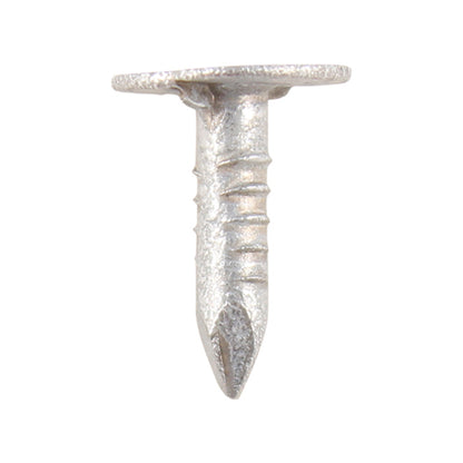 TIMCO Extra Large Head Clout Nails Galvanised - 25 x 3.00 - Image