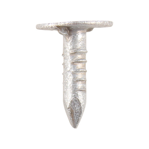 TIMCO Extra Large Head Clout Nails Galvanised - 30 x 3.00 - Image