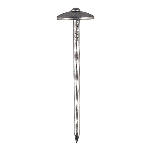 TIMCO Spring Head Nails Galvanised - 65 x 3.35 - Image