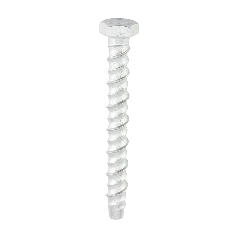 TIMCO Multi-Fix Bolts Hex Head Exterior Silver - 10.0 x 100 - Image