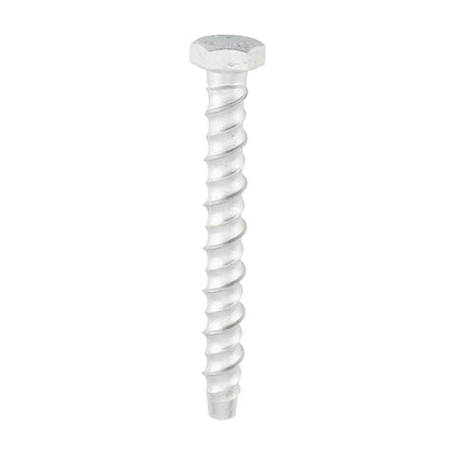 TIMCO Multi-Fix Bolts Hex Head Exterior Silver - 10.0 x 100 - Image