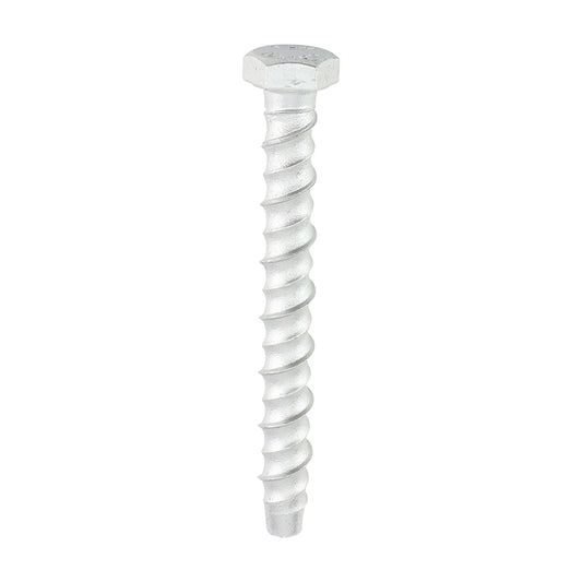 TIMCO Multi-Fix Bolts Hex Head Exterior Silver - 10.0 x 100 - Image