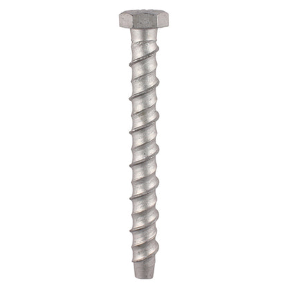 TIMCO Multi-Fix Bolts Hex Head Exterior Silver - 12.0 x 75 - Image