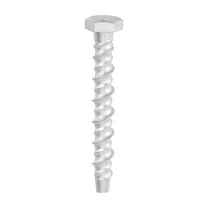 TIMCO Multi-Fix Bolts Hex Head Exterior Silver - 8.0 x 75 - Image