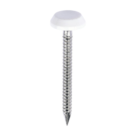 TIMCO Polymer Headed Nails A4 Stainless Steel White - 40mm - Image