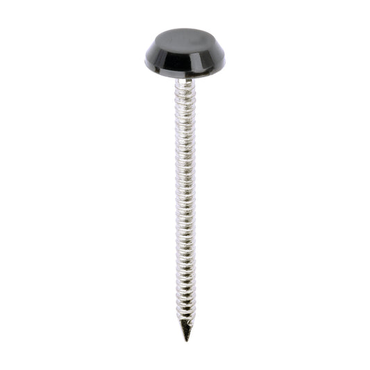 TIMCO Polymer Headed Nails A4 Stainless Steel Anthracite Grey - 50mm - Image