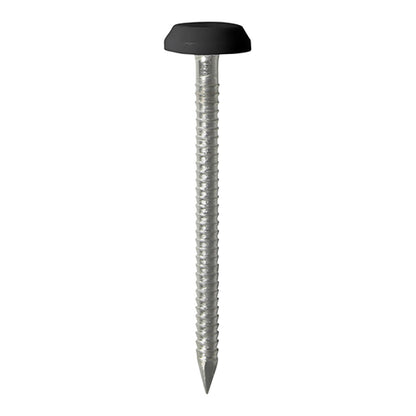 TIMCO Polymer Headed Nails A4 Stainless Steel Black - 50mm - Image