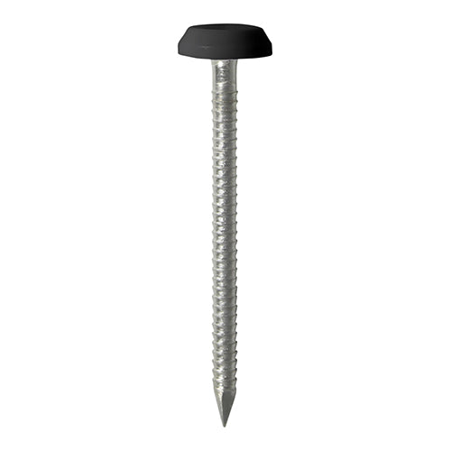 TIMCO Polymer Headed Nails A4 Stainless Steel Black - 50mm - Image