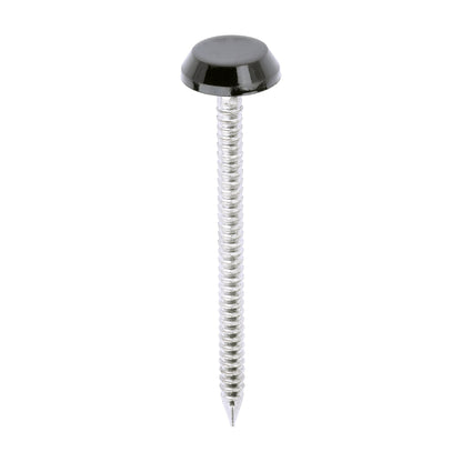 TIMCO Polymer Headed Nails A4 Stainless Steel Black - 50mm - Image