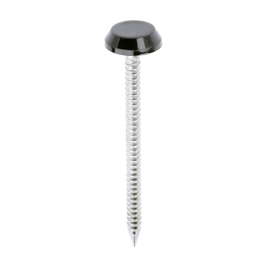 TIMCO Polymer Headed Nails A4 Stainless Steel Black - 50mm - Image