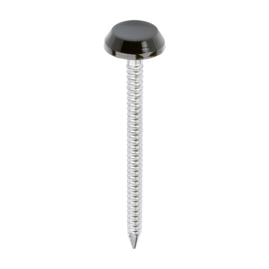 TIMCO Polymer Headed Nails A4 Stainless Steel Mahogany - 50mm - Image