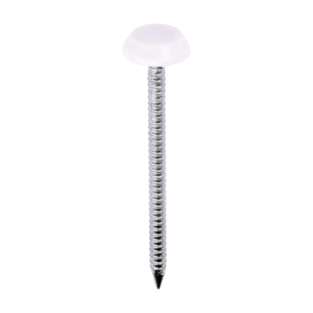 TIMCO Polymer Headed Nails A4 Stainless Steel Cream - 50mm - Image