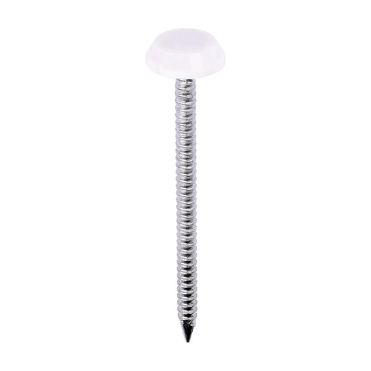 TIMCO Polymer Headed Nails A4 Stainless Steel Cream - 50mm - Image