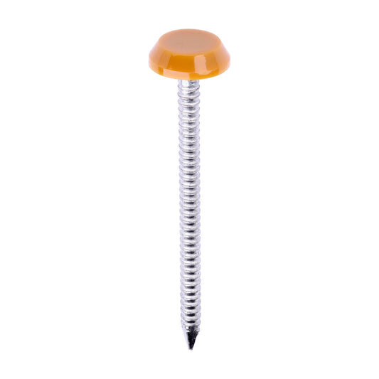 TIMCO Polymer Headed Nails A4 Stainless Steel Oak - 50mm - Image