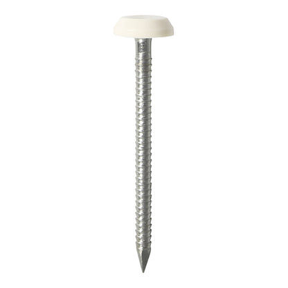 TIMCO Polymer Headed Nails A4 Stainless Steel White - 50mm - Image