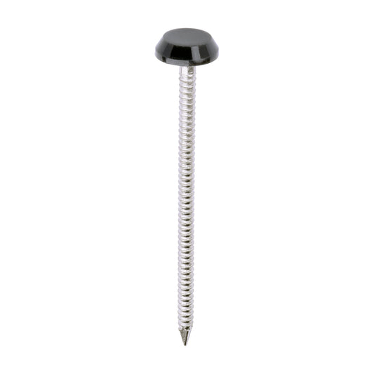 TIMCO Polymer Headed Nails A4 Stainless Steel Anthracite Grey - 65mm - Image