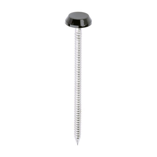TIMCO Polymer Headed Nails A4 Stainless Steel Black - 65mm - Image