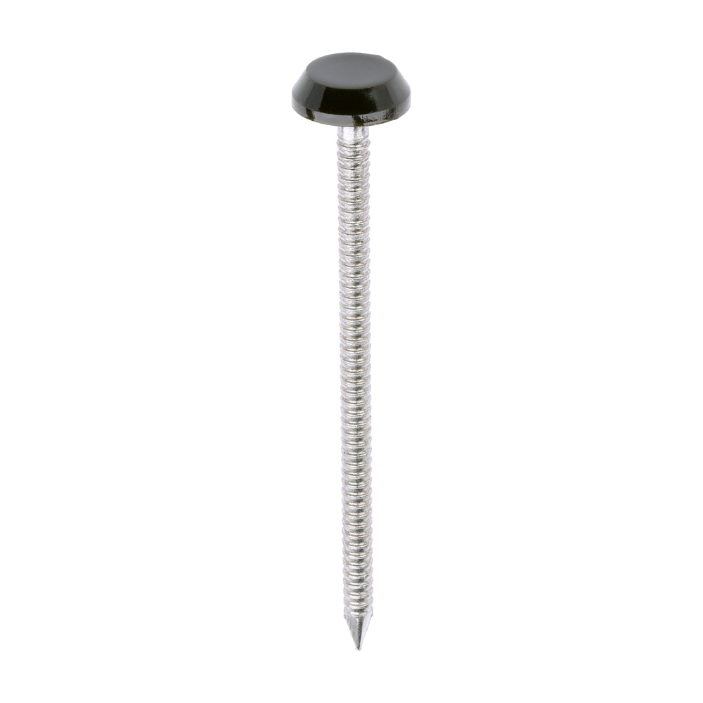 TIMCO Polymer Headed Nails A4 Stainless Steel Mahogany - 65mm - Image