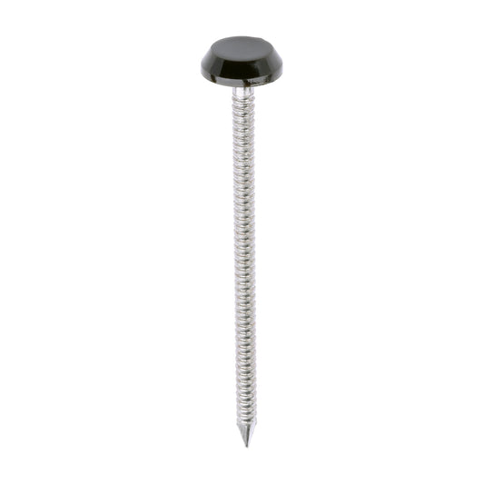 TIMCO Polymer Headed Nails A4 Stainless Steel Mahogany - 65mm - Image