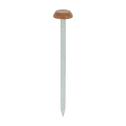 TIMCO Polymer Headed Nails A4 Stainless Steel Clay Brown - 65mm - Image