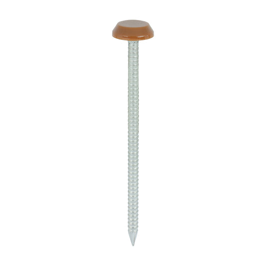 TIMCO Polymer Headed Nails A4 Stainless Steel Clay Brown - 65mm - Image