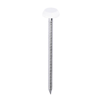 TIMCO Polymer Headed Nails A4 Stainless Steel White - 65mm - Image