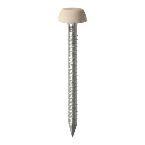 TIMCO Polymer Headed Pins A4 Stainless Steel Beige - 25mm - Image