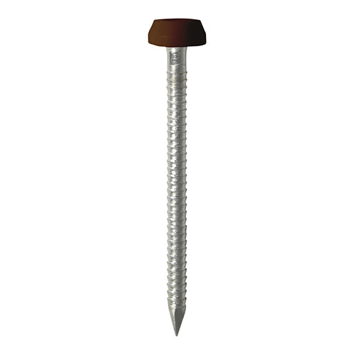 TIMCO Polymer Headed Pins A4 Stainless Steel Mahogany - 25mm - Image