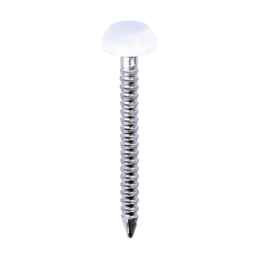 TIMCO Polymer Headed Pins A4 Stainless Steel White - 25mm - Image