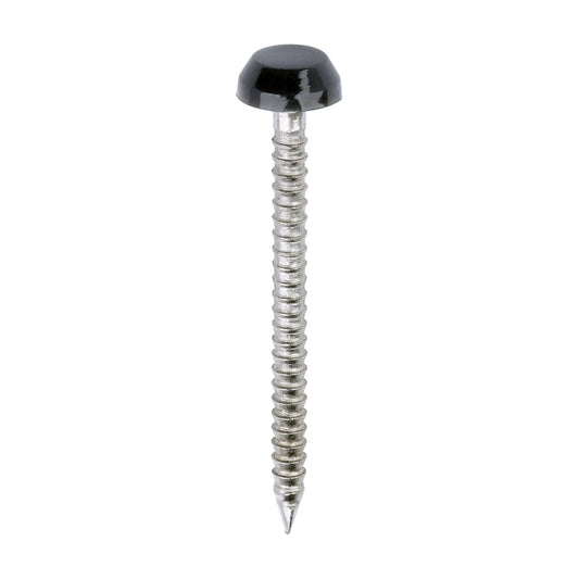 TIMCO Polymer Headed Pins A4 Stainless Steel Anthracite Grey - 30mm - Image
