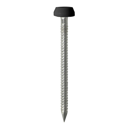 TIMCO Polymer Headed Pins A4 Stainless Steel Black - 30mm - Image