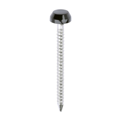 TIMCO Polymer Headed Pins A4 Stainless Steel Black - 30mm - Image