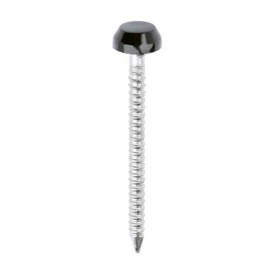 TIMCO Polymer Headed Pins A4 Stainless Steel Black - 30mm - Image