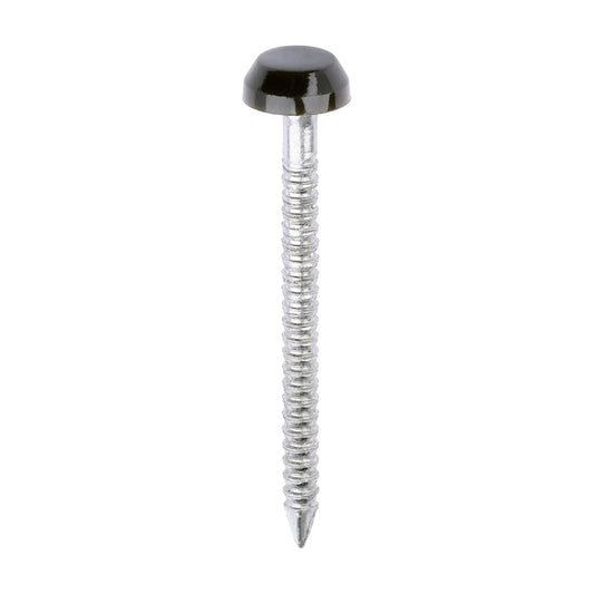 TIMCO Polymer Headed Pins A4 Stainless Steel Mahogany - 30mm - Image