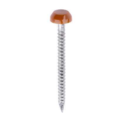 TIMCO Polymer Headed Pins A4 Stainless Steel Clay Brown - 30mm - Image
